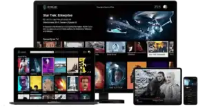 Interfaz de la app DonIPTV APK